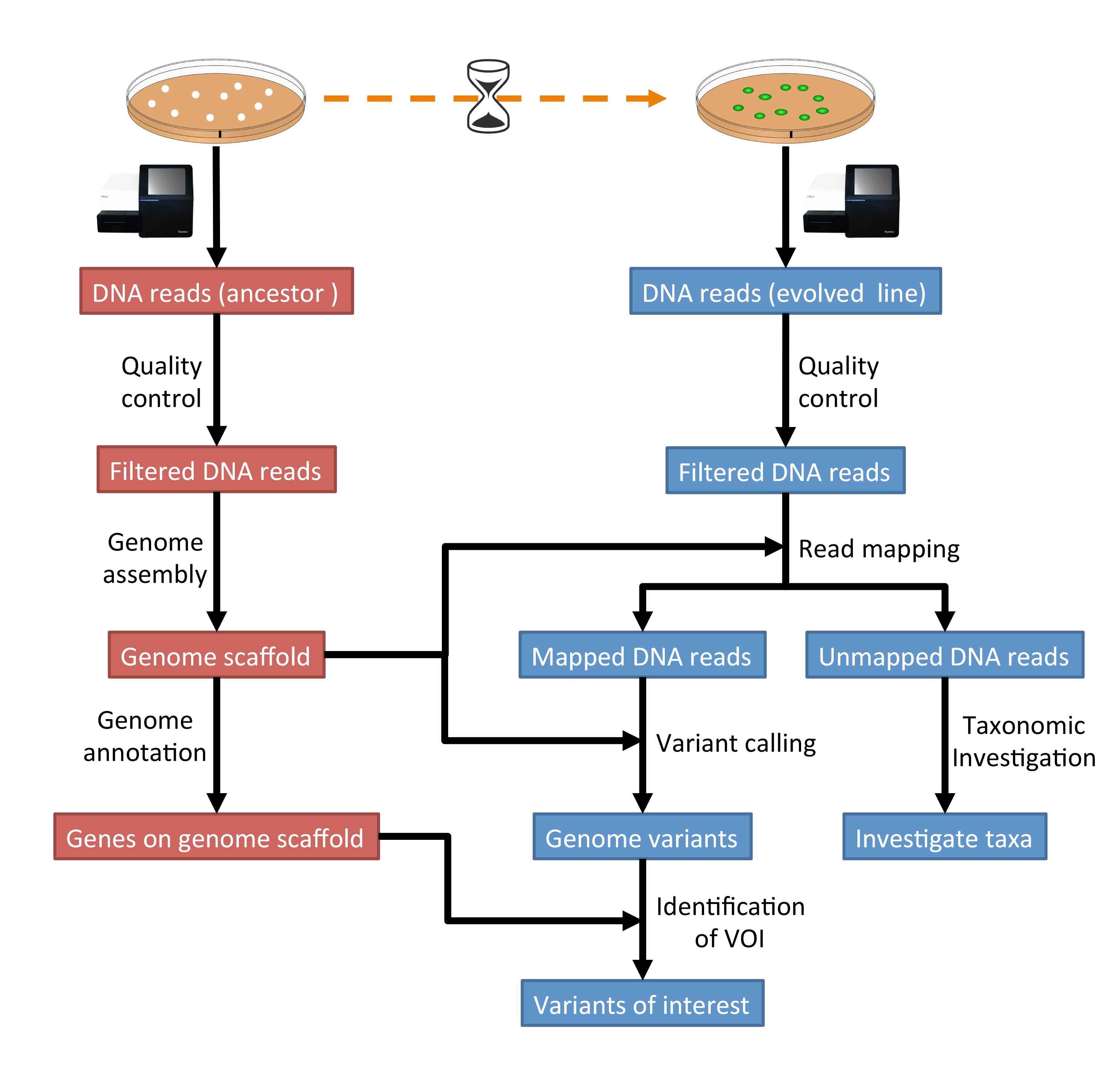 tutorial workflow