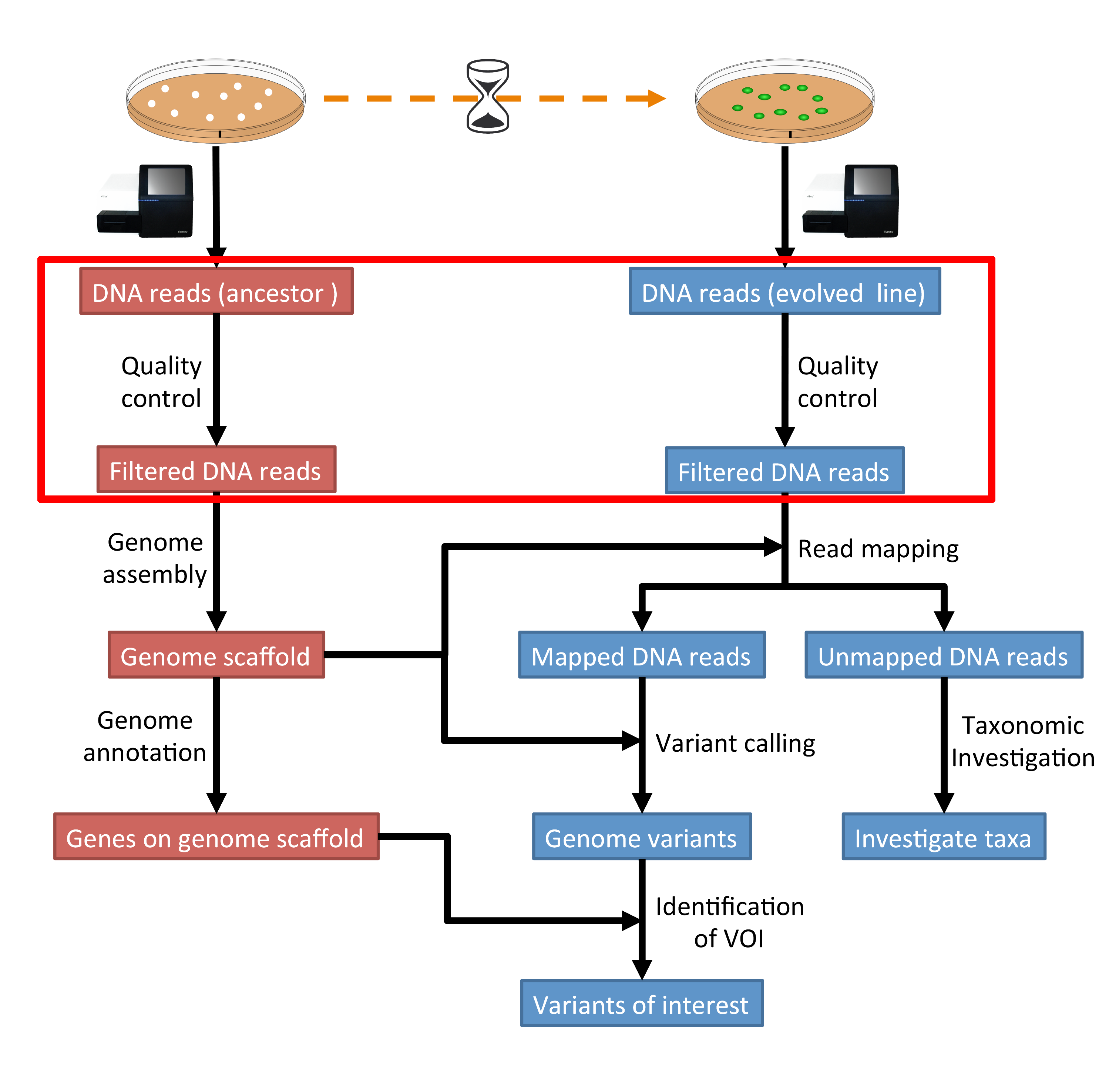 qc_workflow