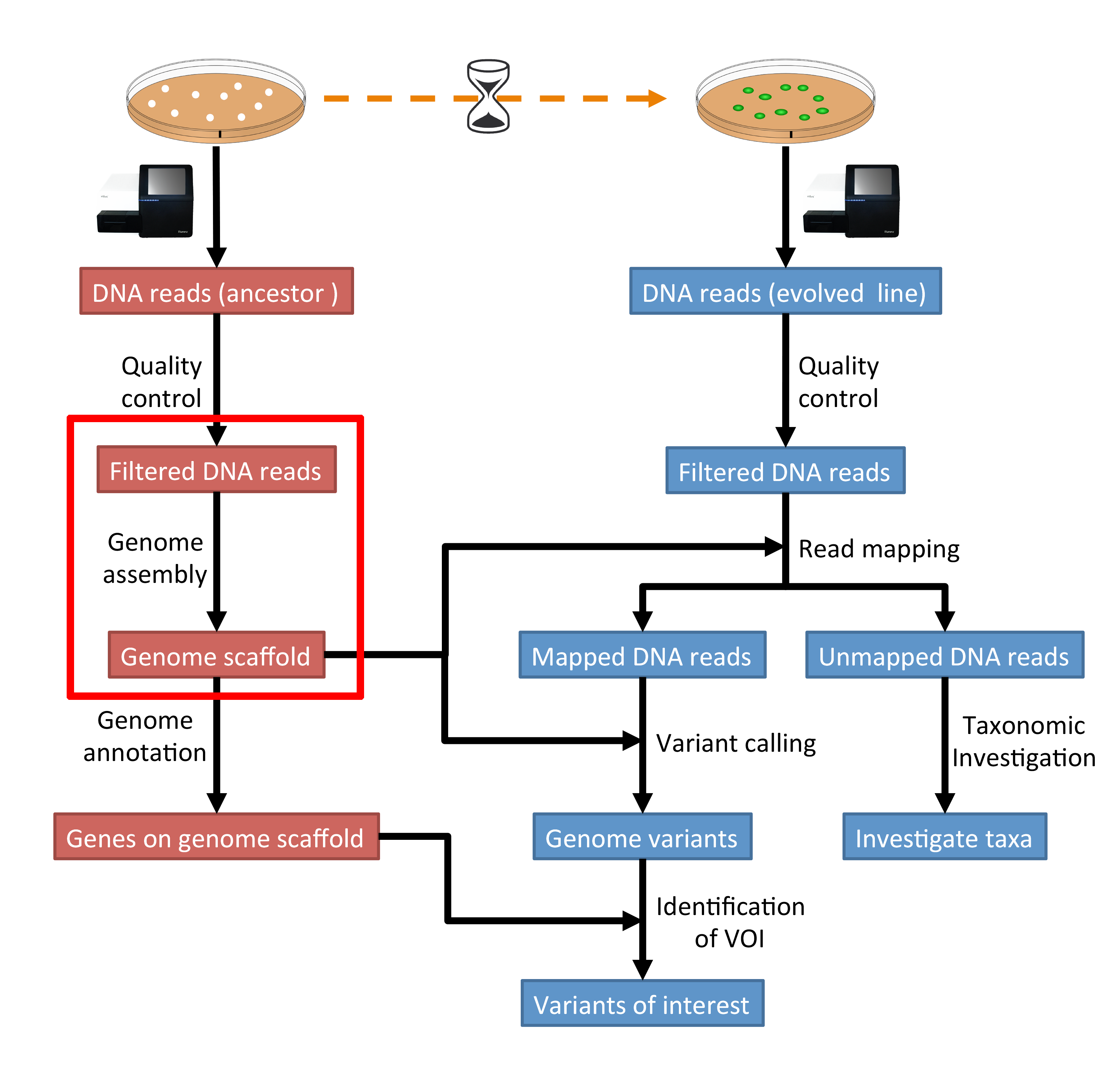 Genome Assembly Ufs Hpc Documentation