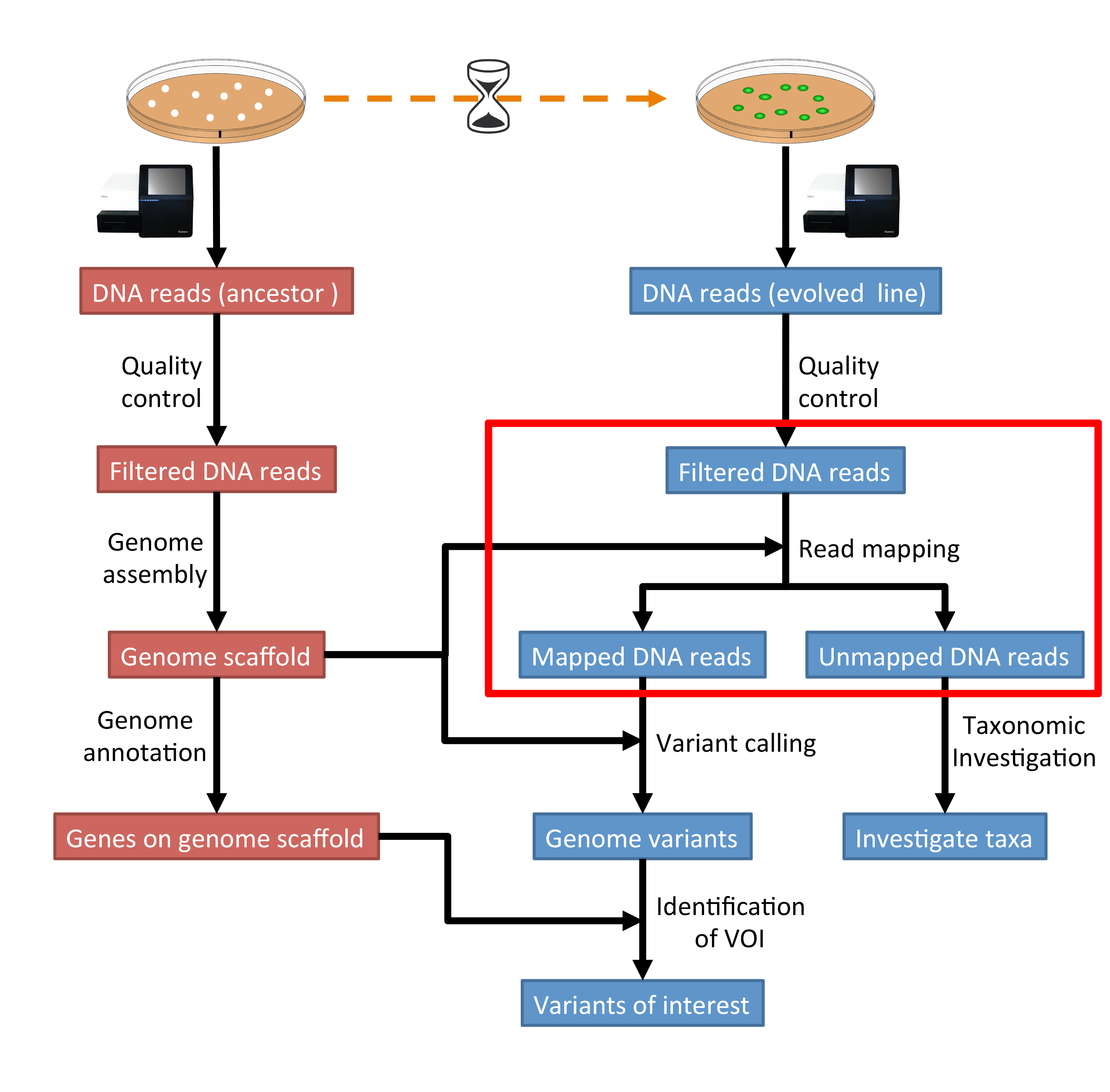 mapping_workflow