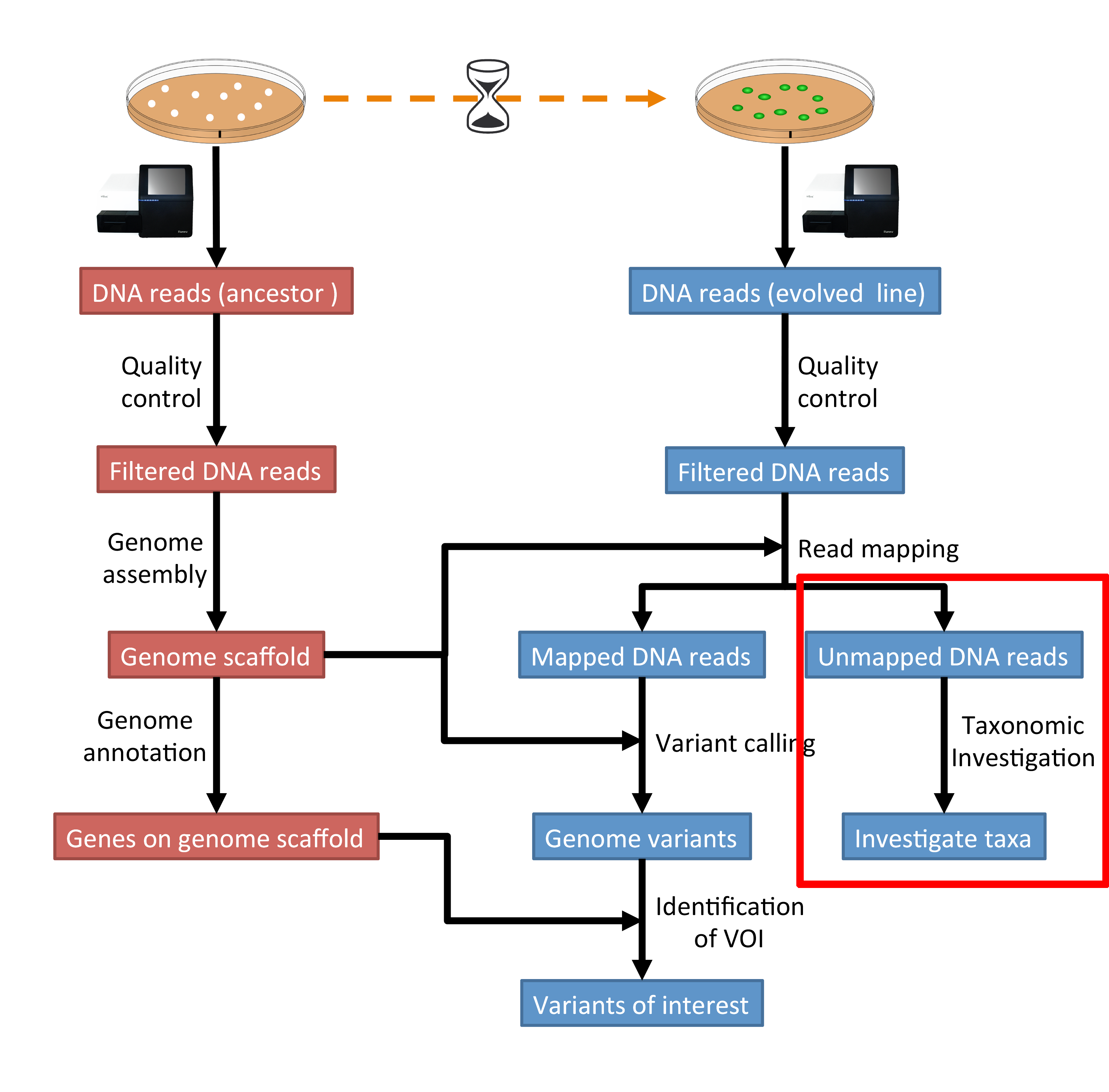 taxo_workflow