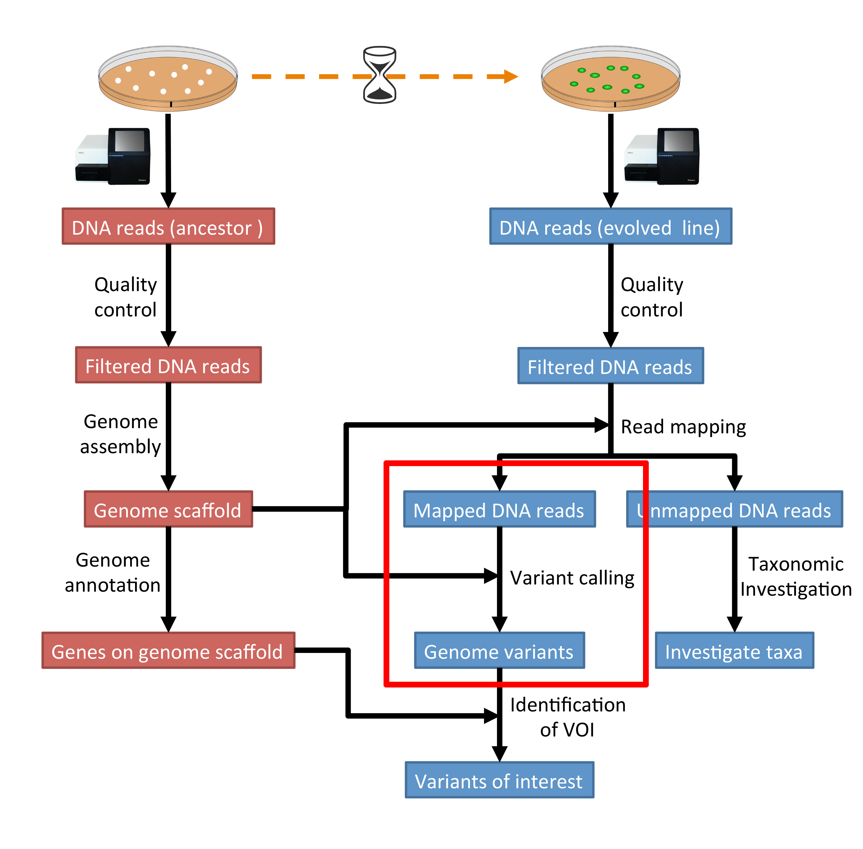 vc_workflow