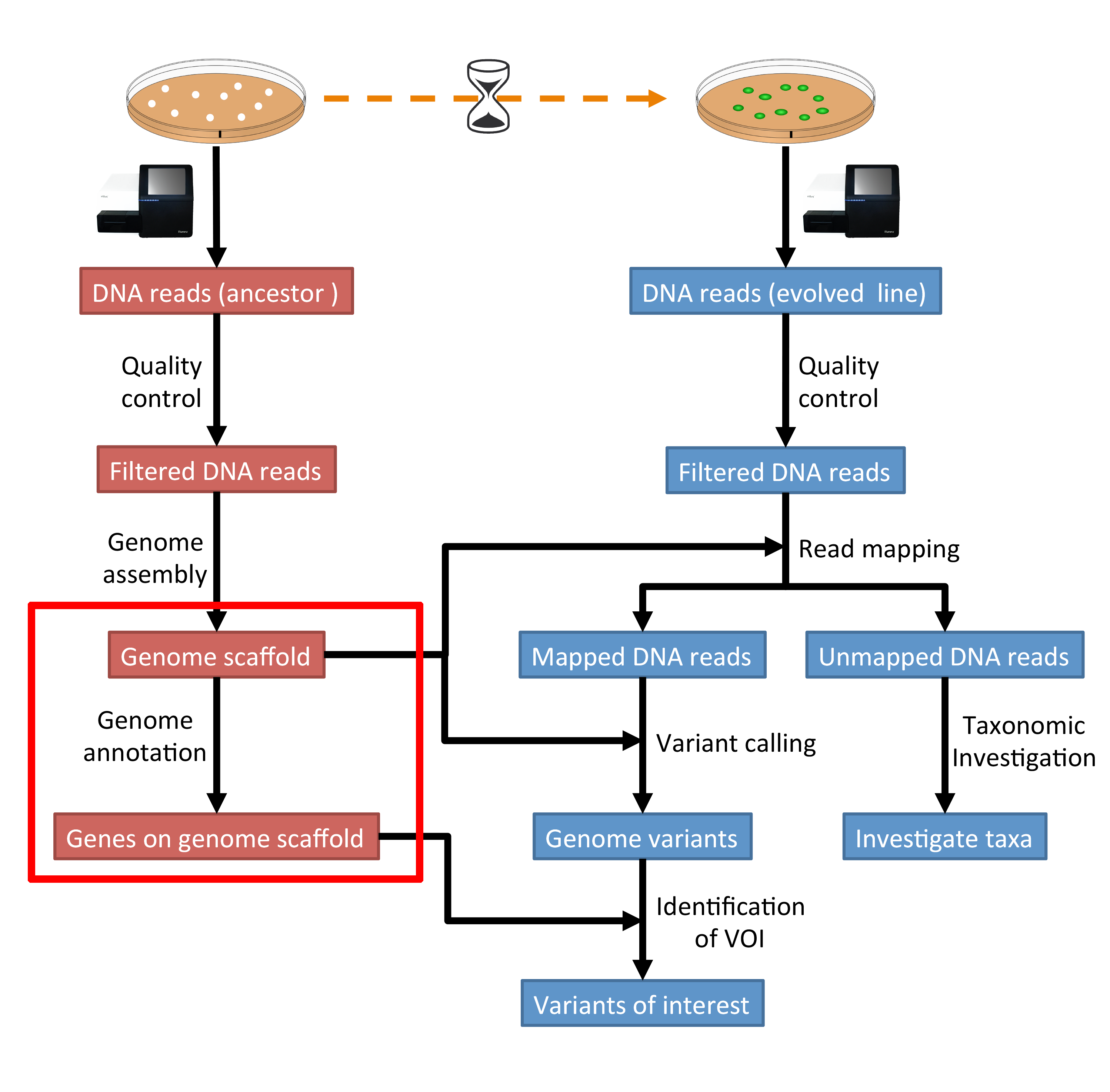 anot_workflow